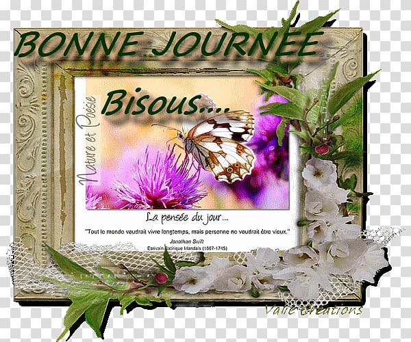 Week Akhir pekan Semaine 11 Semaine 35 0, Bonjour transparent background PNG clipart