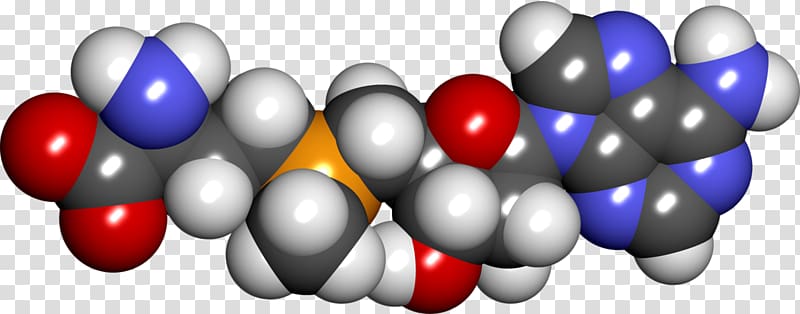 Dietary supplement S-Adenosyl methionine S-Adenosyl-L-homocysteine Methyltransferase, others transparent background PNG clipart