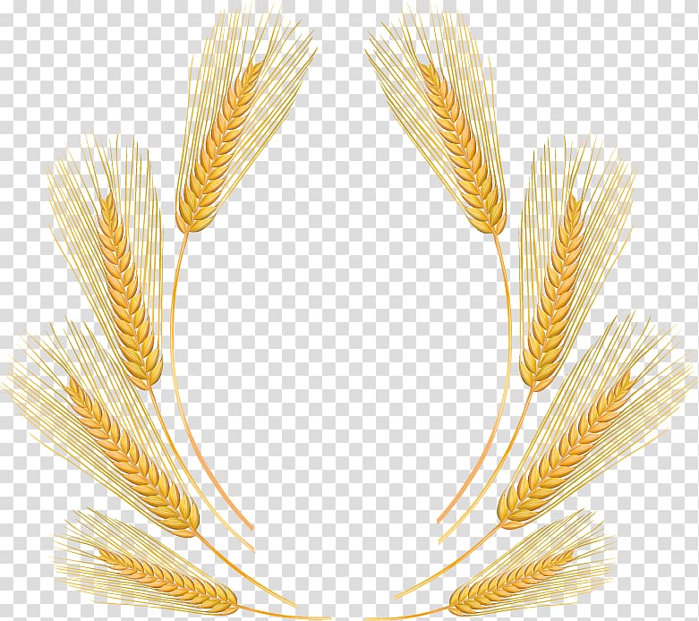 Wheat Cartoon, Cartoon fine wheat harvest transparent background PNG clipart