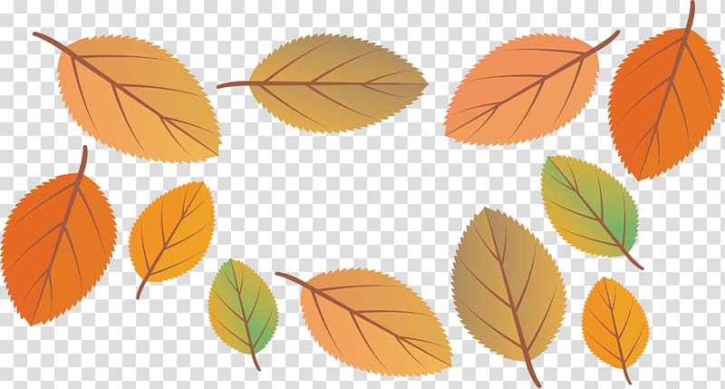 Leaf Autumn, Beautiful autumn leaves transparent background PNG clipart