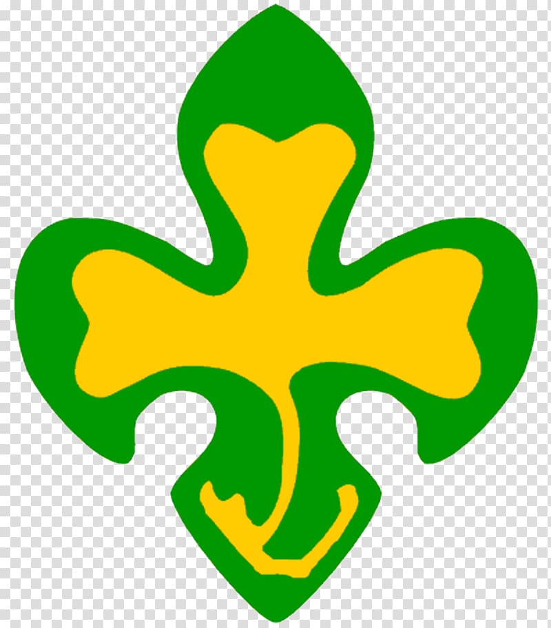 Scout Association of Ireland - Wikipedia