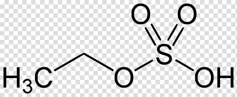 Isovaleraldehyde Methyl group Ethyl sulfate Ethyl glucuronide Nerve agent, coenzyme transparent background PNG clipart