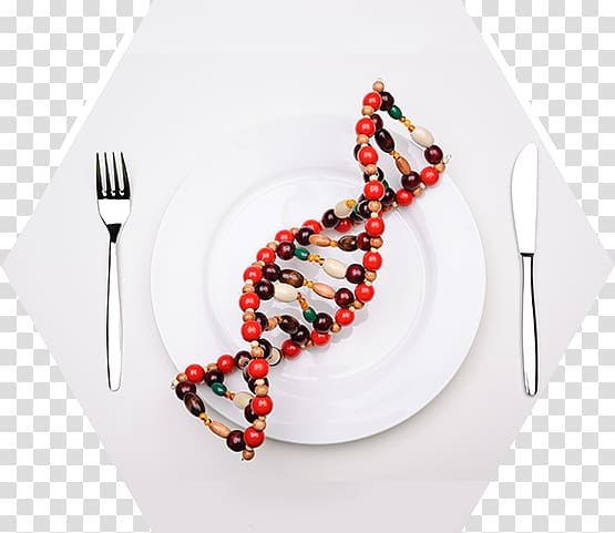 Low-fat diet Genetic testing DNA Nutrition, Fitness Resort transparent background PNG clipart