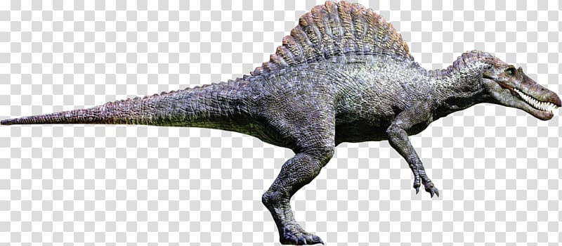 Spinosaurus Tyrannosaurus Giganotosaurus Ankylosaurus Carcharodontosaurus, Tyrannosaurus transparent background PNG clipart