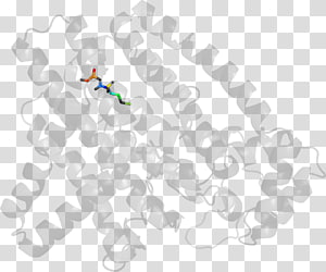 Line , design transparent background PNG clipart thumbnail