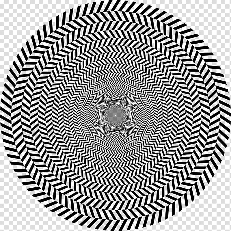 Optical illusion Optics Op art Fraser spiral illusion, others transparent background PNG clipart