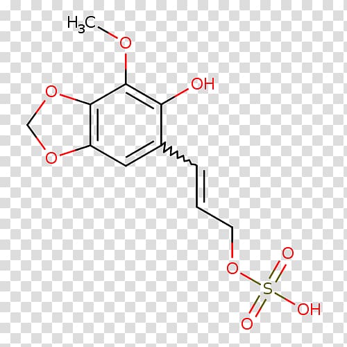 Chlorogenic acid Structure Caffeic acid Science Phenols, science transparent background PNG clipart