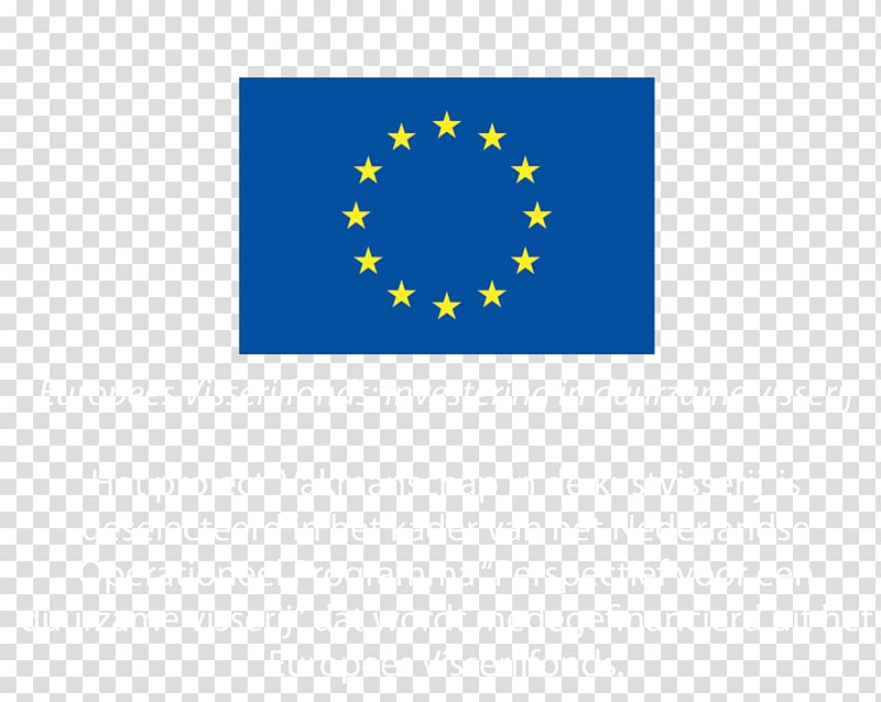 Il diritto elettorale nell\'Unione europea: profili costituzionali comparati European Union Logo Lifelong Learning Programme 2007–2013 Brand, TAILAND transparent background PNG clipart