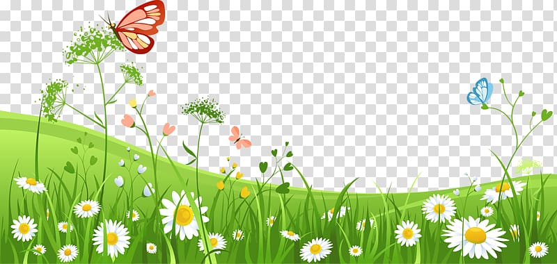 Free content , Green background transparent background PNG clipart