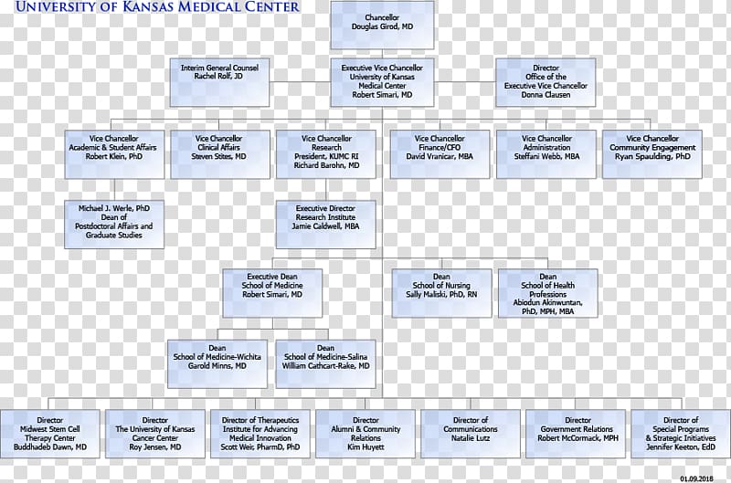 Organizational chart The University of Kansas Medical Center Diagram Organizational structure, biopharmaceutical color pages transparent background PNG clipart