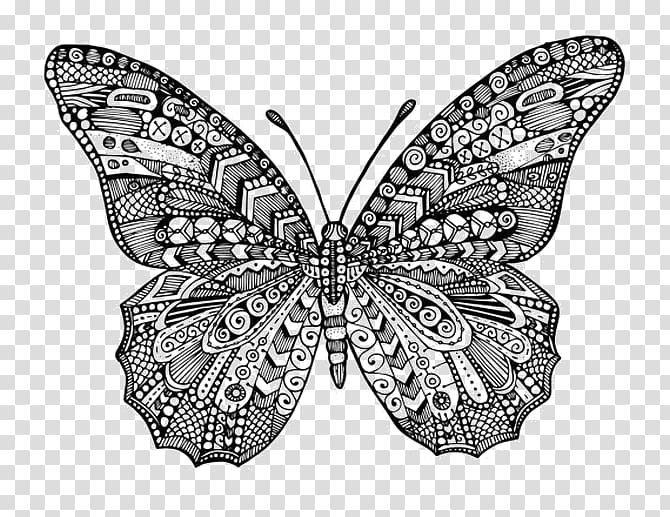 Monarch butterfly Coloring book Drawing, butterfly transparent background PNG clipart