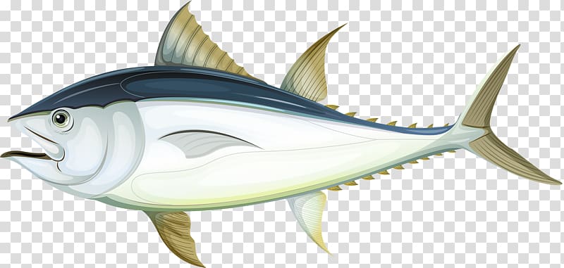 Fish Tuna Illustration, Cartoon white fish transparent background PNG clipart