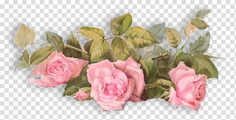 Flower Garden roses Desktop , funeral transparent background PNG clipart