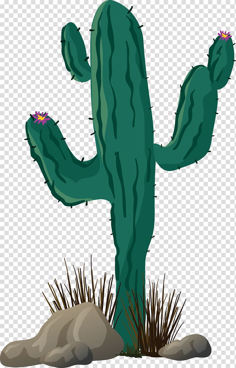 Transparent Cactus Vector Png - Vector Png Cacto, Png Download