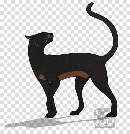 Cat Warriors Spiderleg Italian Greyhound Drawing, spider bites cats transparent background PNG clipart