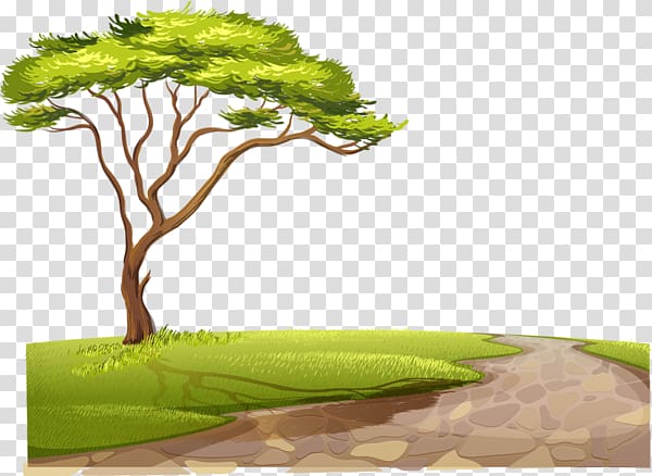 green leafed tree , Fauna of Africa Lion , Country Road transparent background PNG clipart