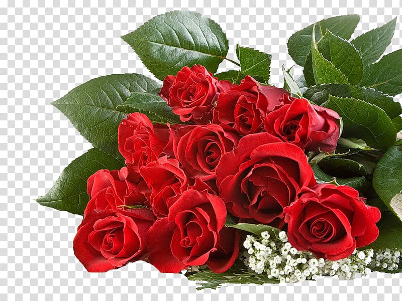 Rose Flower Karachi Gifts Desktop , 50 лет transparent background PNG clipart
