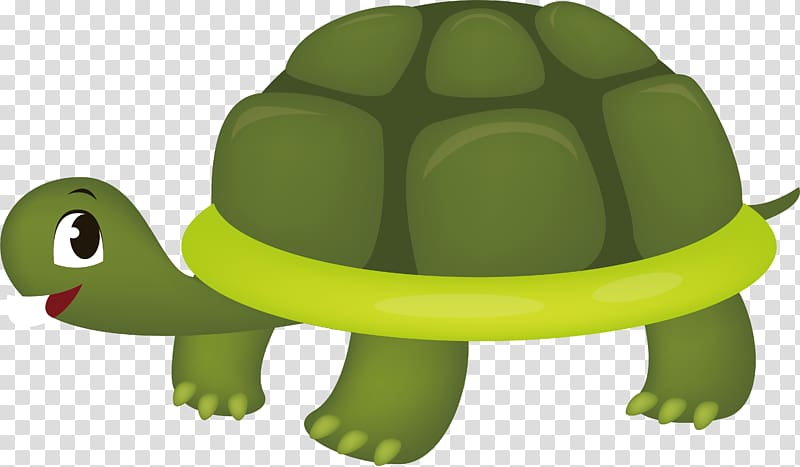 green turtle illustration, Sea turtle Tortoise City of Denton, Lovely little turtle transparent background PNG clipart