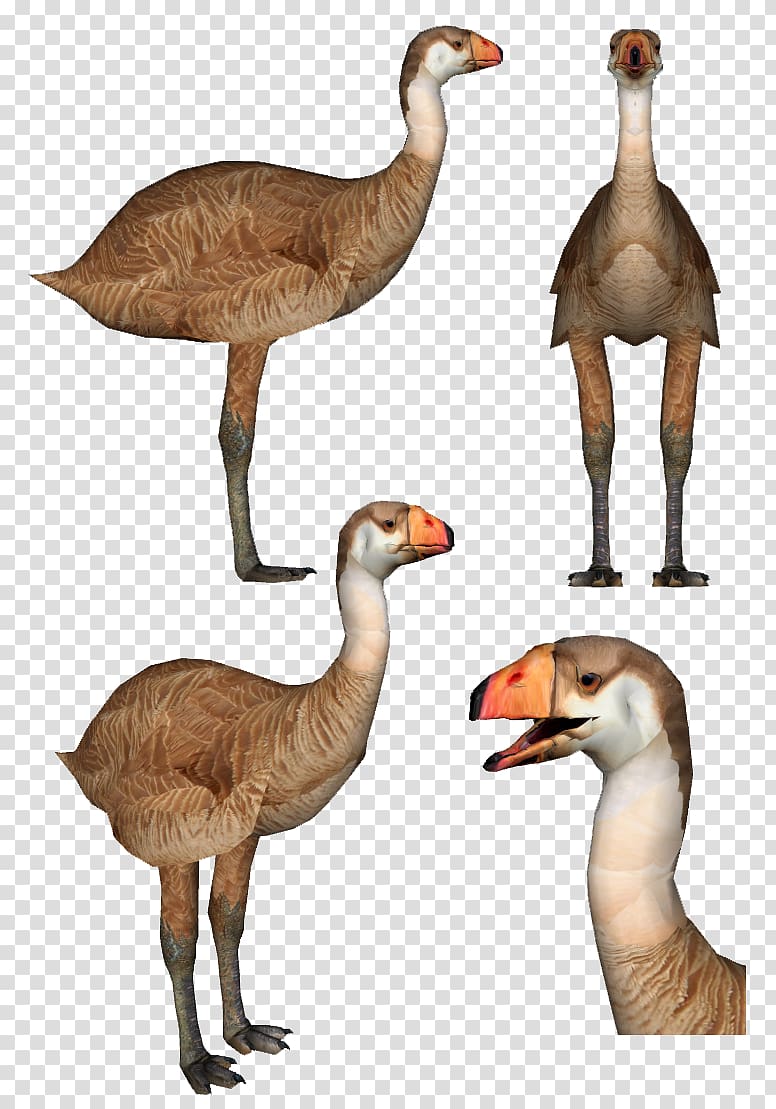 Goose Duck Jurassic Park Builder Rajasaurus Carcharodontosaurus, goose transparent background PNG clipart