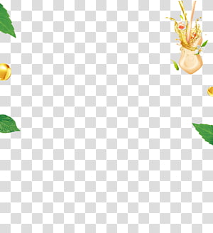 Leaf Petal Plant stem Flowering plant , Leaf transparent background PNG clipart thumbnail