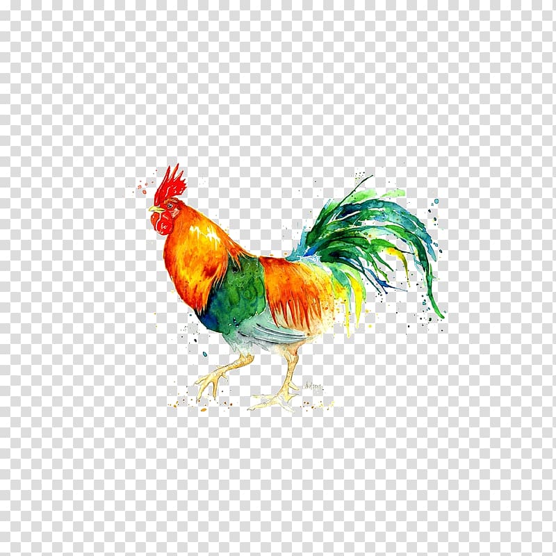 Chicken Watercolor: Animals Watercolor painting Rooster, Watercolor Animals Chicken transparent background PNG clipart
