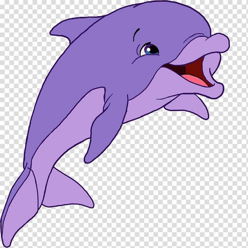 Common bottlenose dolphin Tucuxi Short-beaked common dolphin Wholphin Rough-toothed dolphin, dolphin transparent background PNG clipart