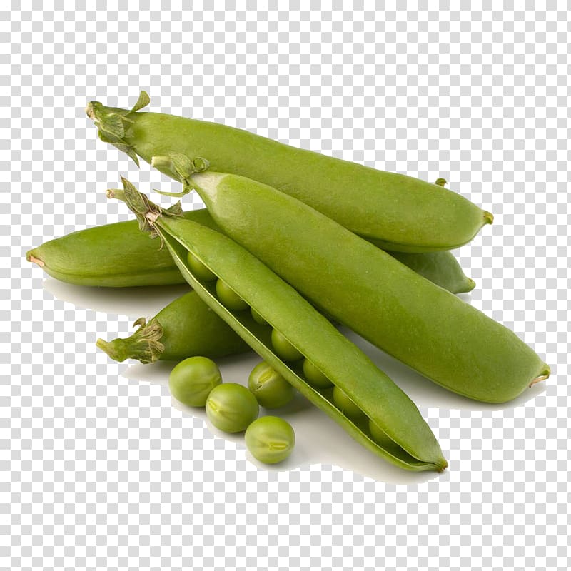 Pea Edamame Bean, A pile of green peas transparent background PNG clipart