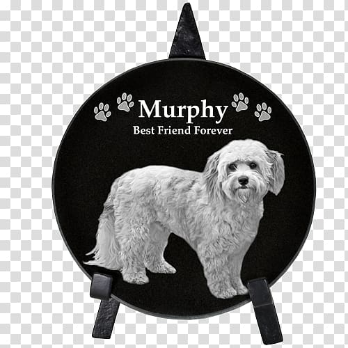 Schnoodle Cockapoo Commemorative plaque Dog breed Memorial, others transparent background PNG clipart