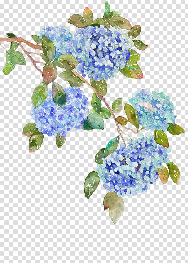 French hydrangea Flower Blue , 高清iphone transparent background PNG clipart
