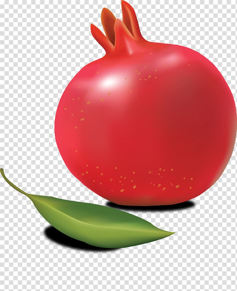 Pomegranate transparent background PNG clipart