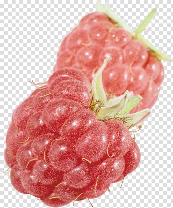 Raspberry Loganberry Strawberry Tayberry Fruit, raspberry transparent background PNG clipart