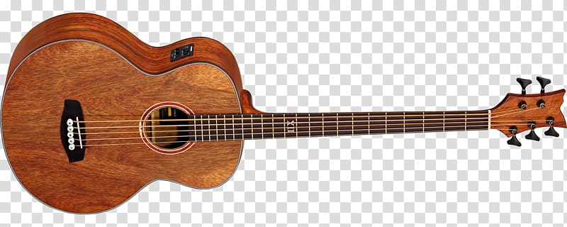 Acoustic bass guitar Steel-string acoustic guitar, amancio ortega transparent background PNG clipart