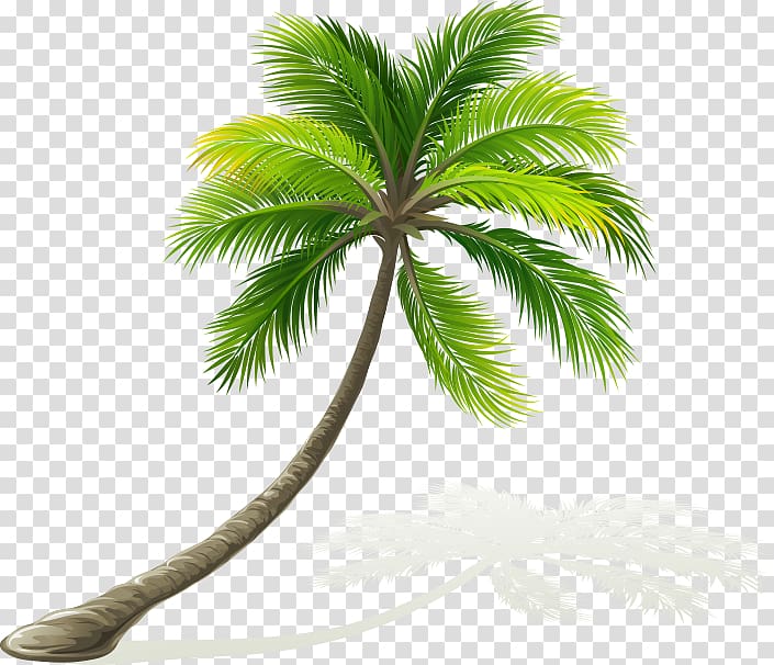 Kailua Maui Oahu Sticker Beach, beach transparent background PNG clipart