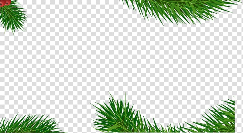 Green Poster, Green grass background transparent background PNG clipart
