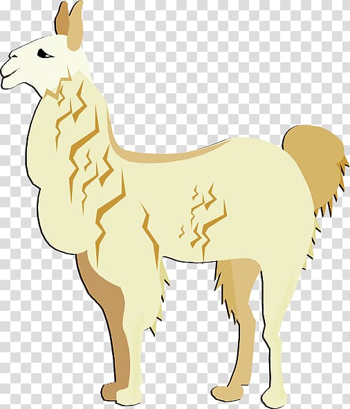 Llama Alpaca Free content , Llama transparent background PNG clipart