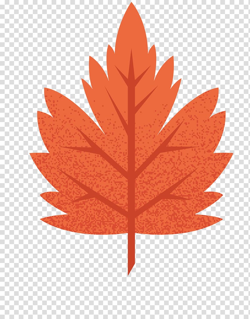 Maple leaf Euclidean , Autumn leaves background transparent background PNG clipart