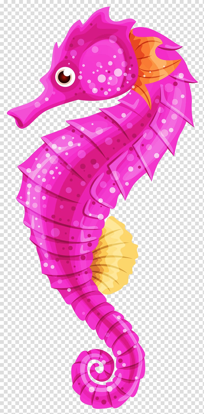 Seahorse , starfish transparent background PNG clipart