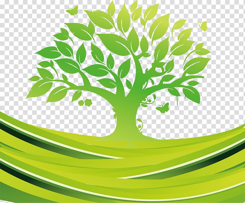 tree , Exp Services Tree Euclidean , tree transparent background PNG clipart