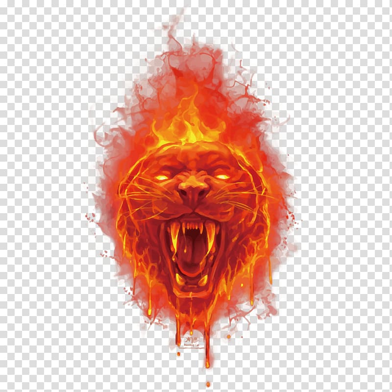 fire panther face illustration, Tiger Fire Euclidean , fire tiger head transparent background PNG clipart