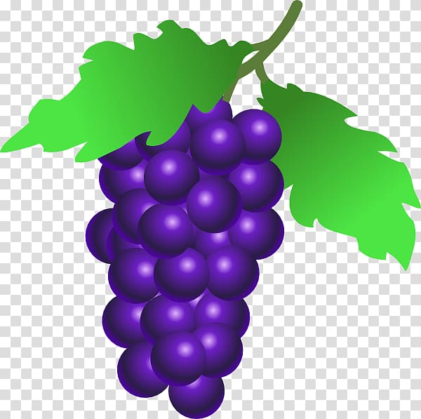 Common Grape Vine Wine Grappa Berry, Cartoon Grapes transparent background PNG clipart