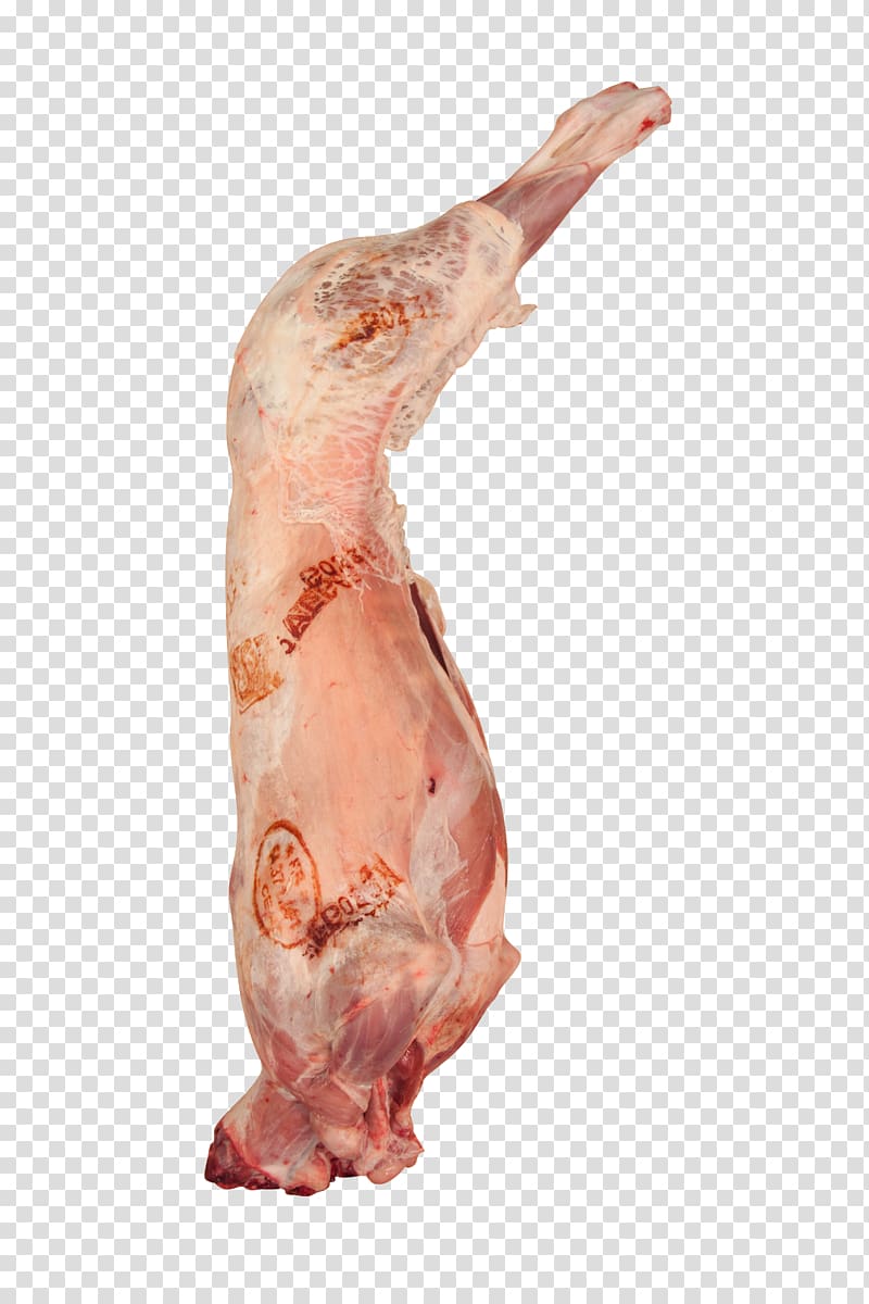 Lamb and mutton Mandi Sheep Meat Goat, sheep transparent background PNG clipart