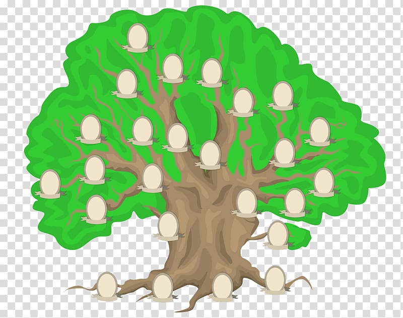 Paper Genealogy Family tree Family history, Cartoon tree genealogy transparent background PNG clipart