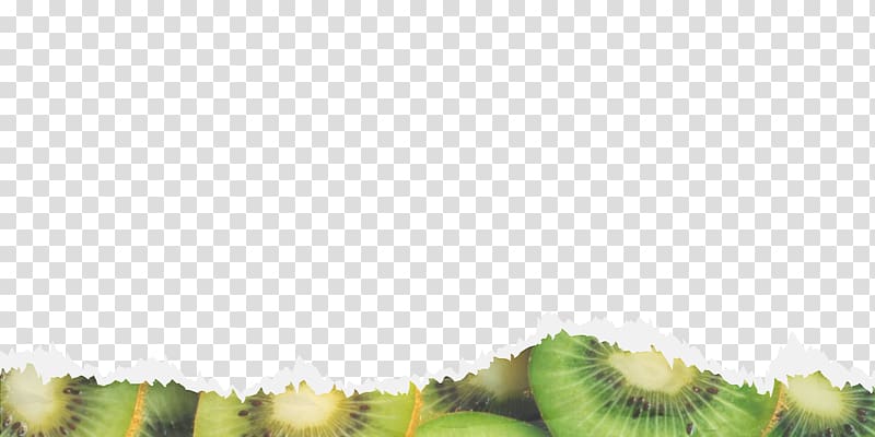 Close-up Person Emoción Frutal Fruit, border msc 2018 transparent background PNG clipart