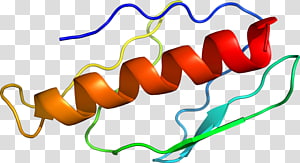 Line , design transparent background PNG clipart thumbnail