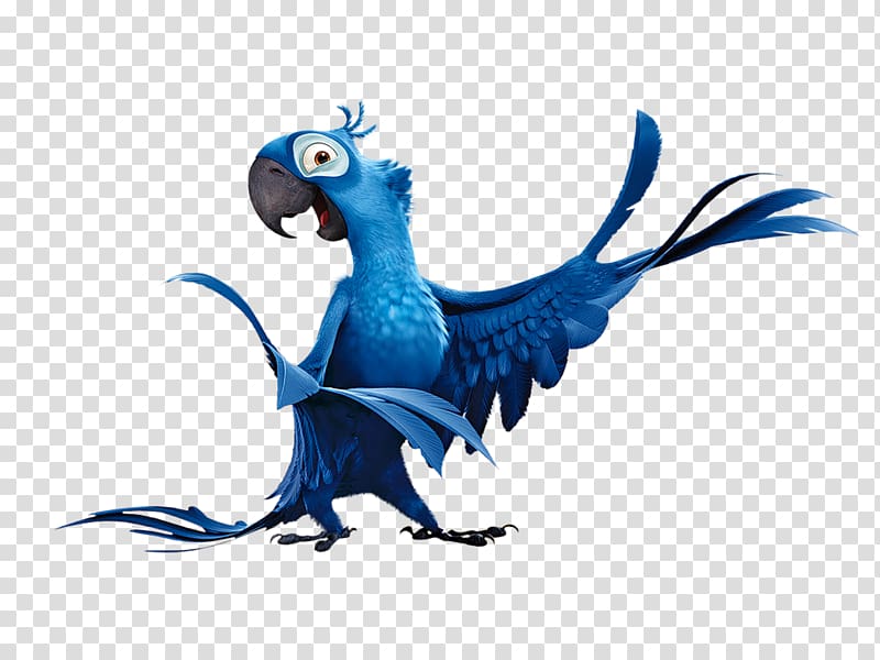 Blue Sky Studios Film Parrot Rio, parrot transparent background PNG clipart