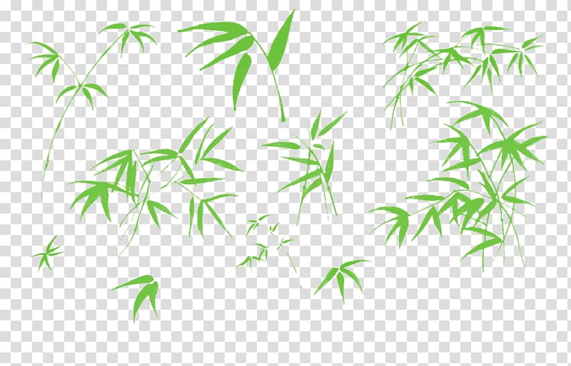 Bamboo Tree Art Bamboo Illustration Bamboo Leaves Transparent Background Png Clipart Hiclipart