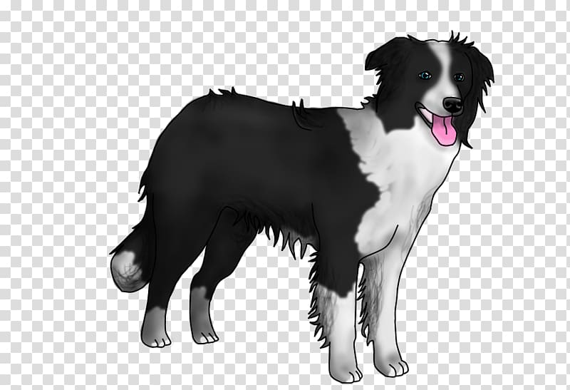 Border Collie Bernese Mountain Dog Karelian Bear Dog Dog breed Rough Collie, others transparent background PNG clipart