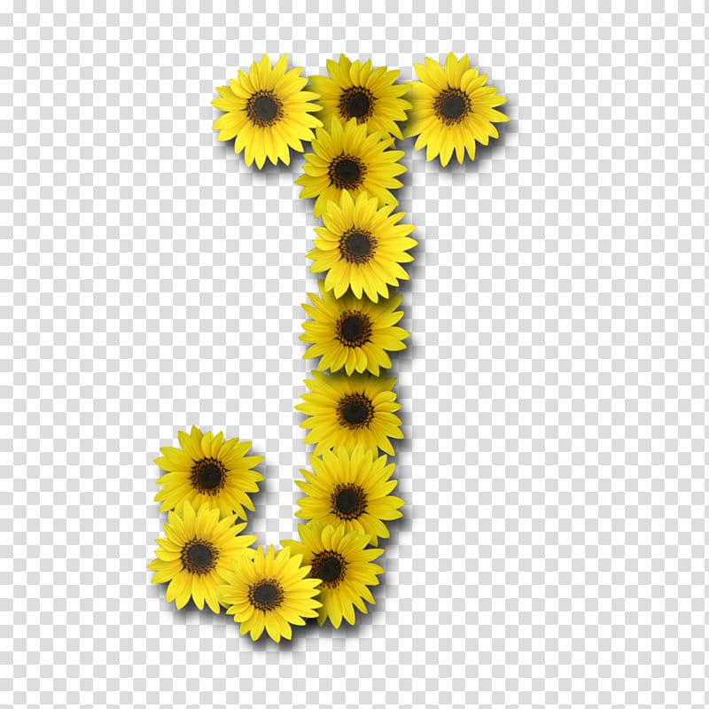 Common sunflower Letter Alphabet Girasoles J, pary transparent background PNG clipart