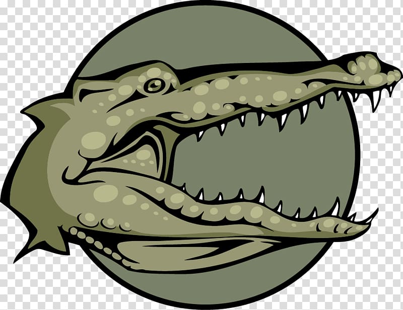Crocodile Alligator Drawing Illustration, Crocodile transparent background PNG clipart