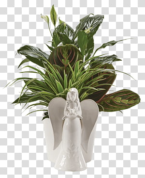 Floral design Flower garden Flower bouquet, flower transparent background PNG clipart thumbnail